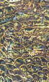 Famous Artists Exhibitions: